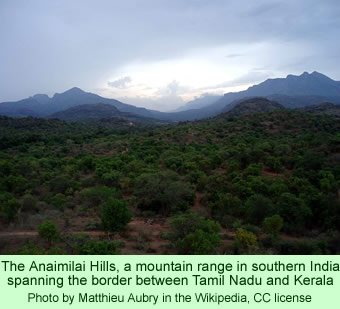 Anaimilai Hills