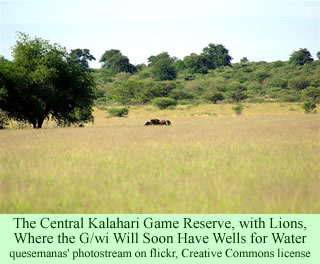 Central Kalahari Game Reserve