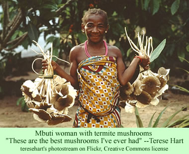 Mbuti woman with termite mushrooms