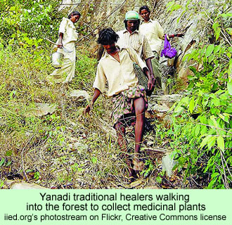 Yanadi traditional healers