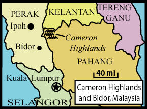 Cameron Highlands and Bidor
